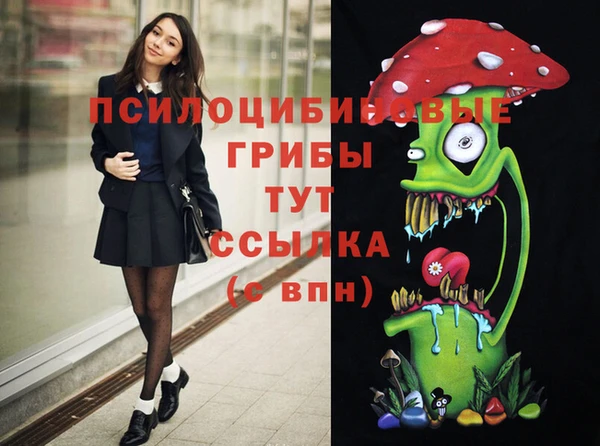 прущий лед Белокуриха