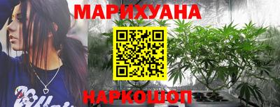 сатива Заволжье